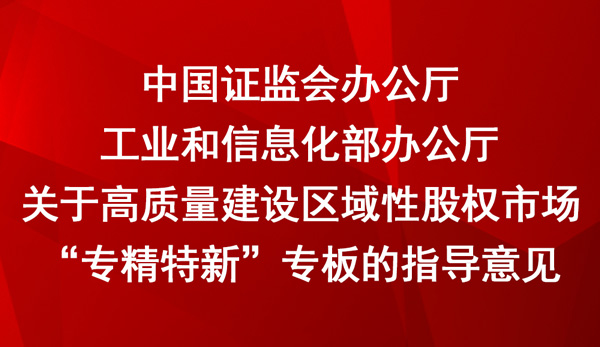 关于高质量建设区域性股权市场专精特新专板的指导意见