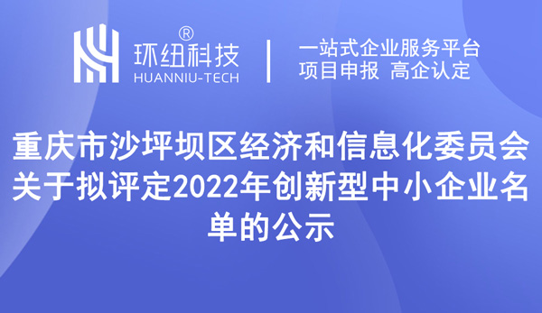 2022年创新型中小企业名单