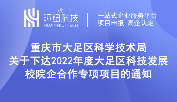 2022年度大足区科技发展校院企合作专项项目