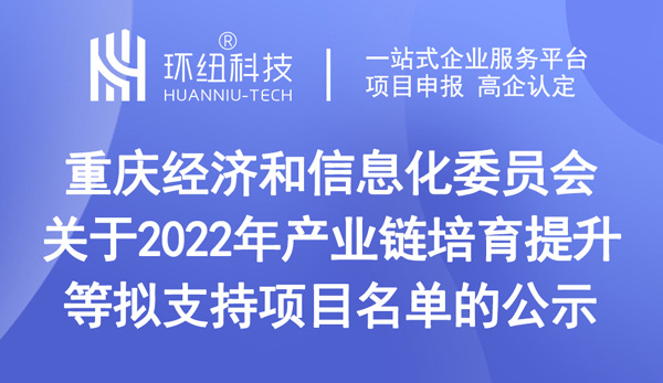 重庆2022年产业链培育提升等拟支持项目名单