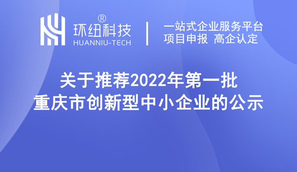 创新型中小企业名单公示