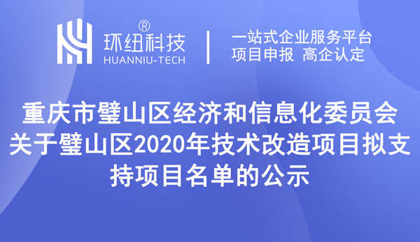 璧山区2020年技术改造项目拟支持项目名单