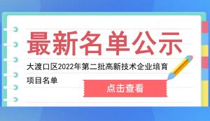 大渡口区2022年第二批高新技术企业培育项目名单