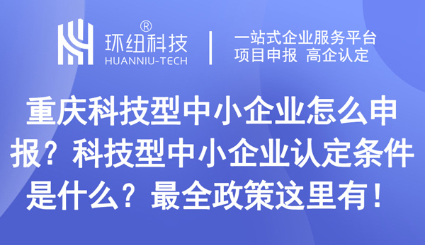 重庆科技型中小企业怎么申报