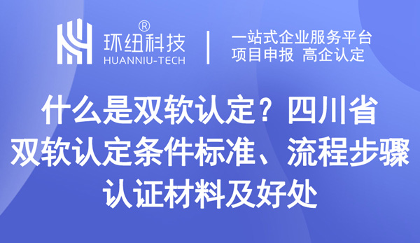 四川省双软认定