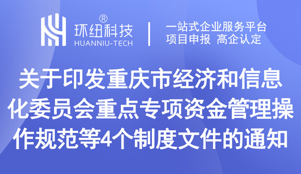 重点专项资金项目申报