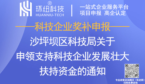 沙坪坝区科技企业扶持资金申领