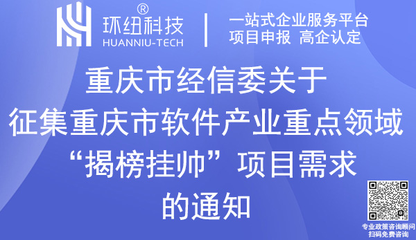 重庆市软件产业重点领域“揭榜挂帅”项目需求征集