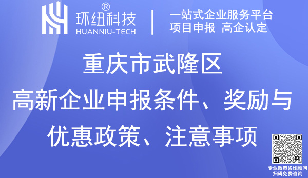 武隆区高新企业申报