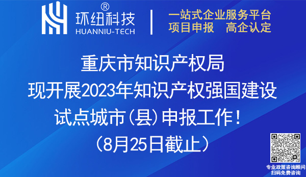 2023年知识产权强国建设试点城市县申报