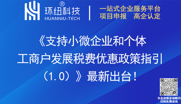 支持小微企业和个体工商户发展税费优惠政策指引(1.0)