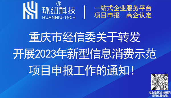 2023年新型信息消费示范项目申报