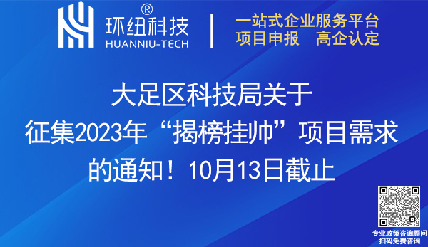 2023年揭榜挂帅项目申报